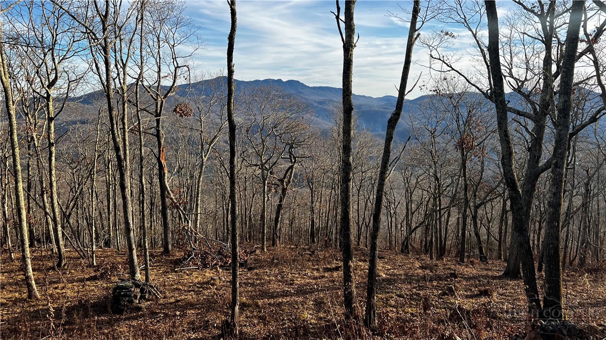 Lot 3 Chappell Farm Road Banner Elk, NC 28604 - Photo 2 of 27 a view of a backyard of the house
