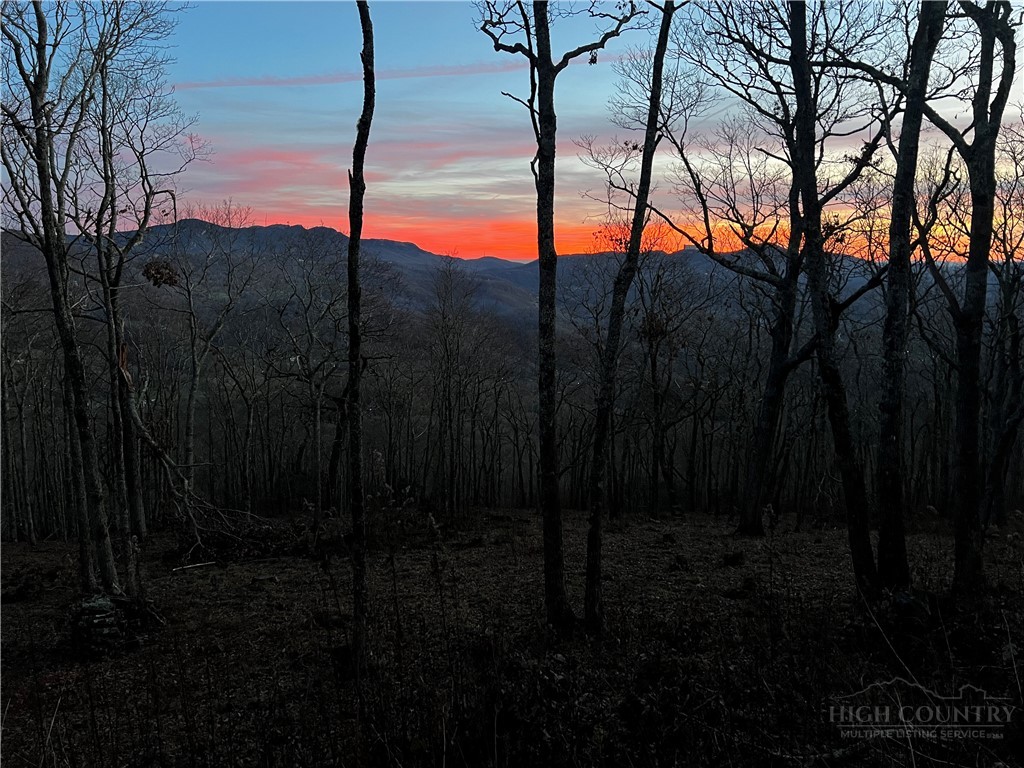 Lot 3 Chappell Farm Road Banner Elk, NC 28604 - Photo 21 of 27 a view of a yard