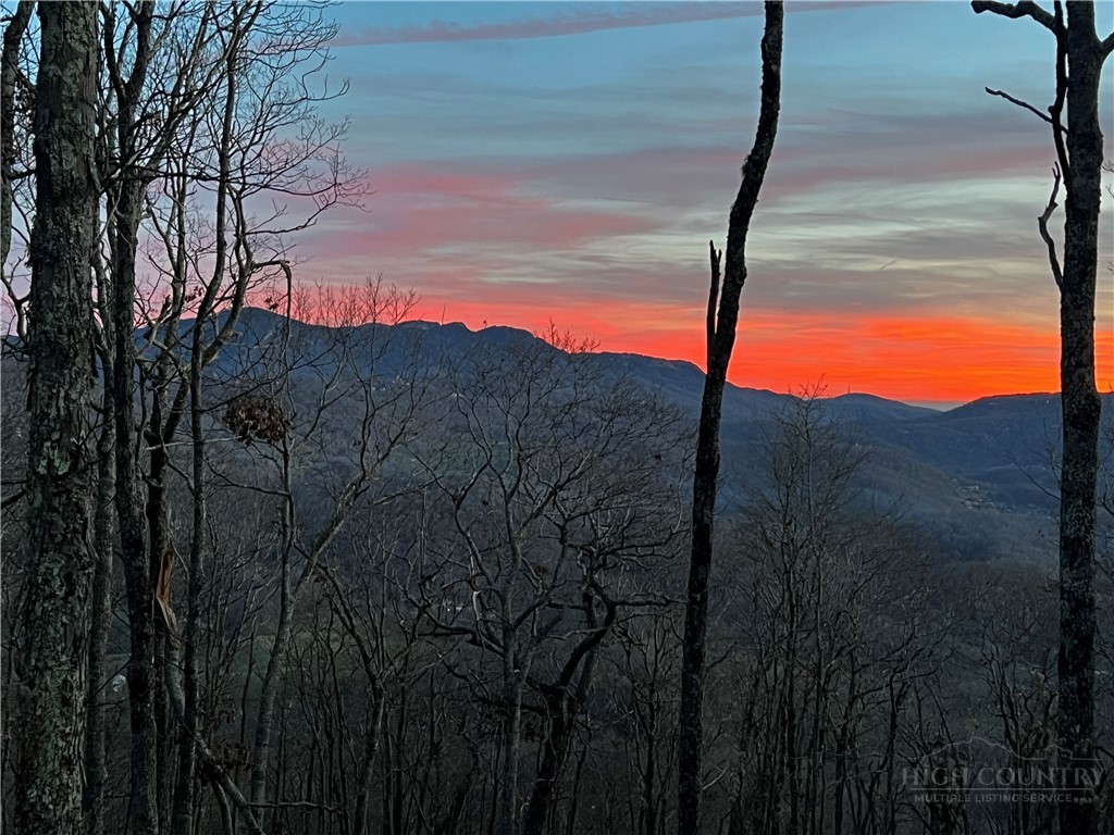 Lot 3 Chappell Farm Road Banner Elk, NC 28604 - Photo 22 of 27 a view of a yard
