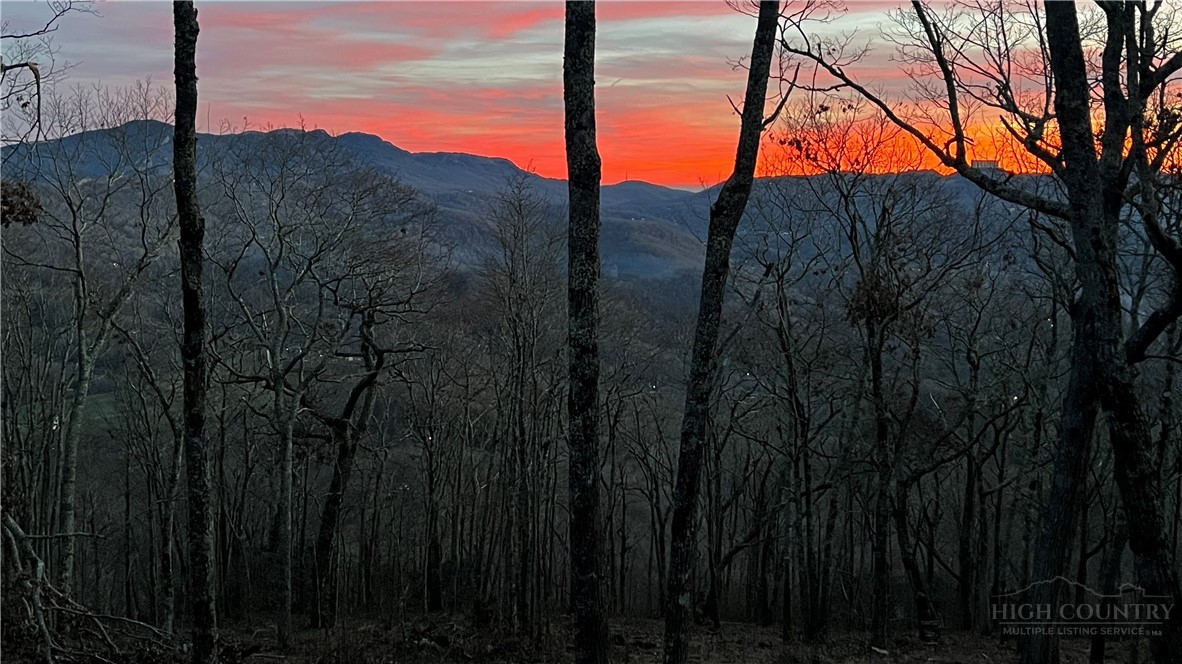 Lot 3 Chappell Farm Road Banner Elk, NC 28604 - Photo 23 of 27 a view of a yard with a tree