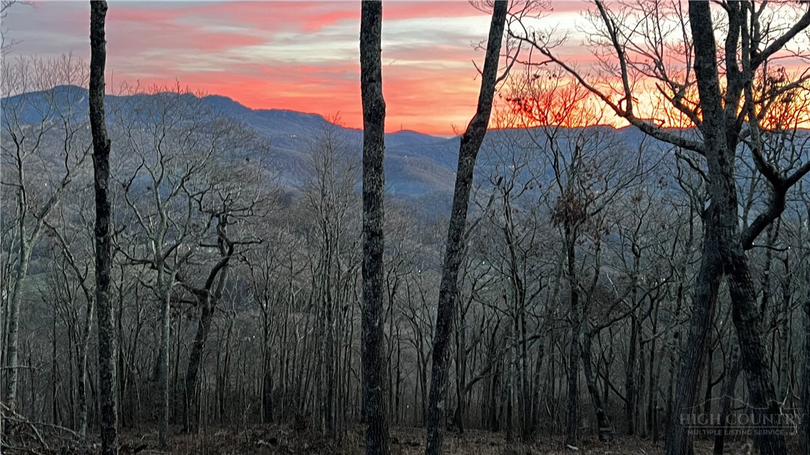 Lot 3 Chappell Farm Road Banner Elk, NC 28604 - Photo 24 of 27 a view of mountain view with tall trees