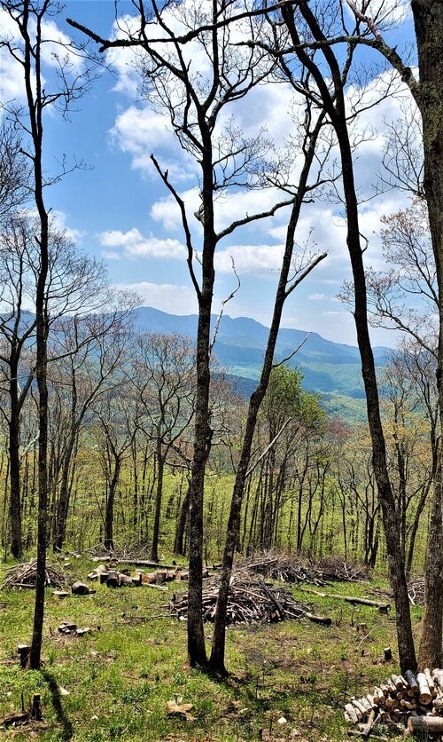 Lot 3 Chappell Farm Road Banner Elk, NC 28604 - Photo 10 of 27 a view of outdoor space with lots of trees