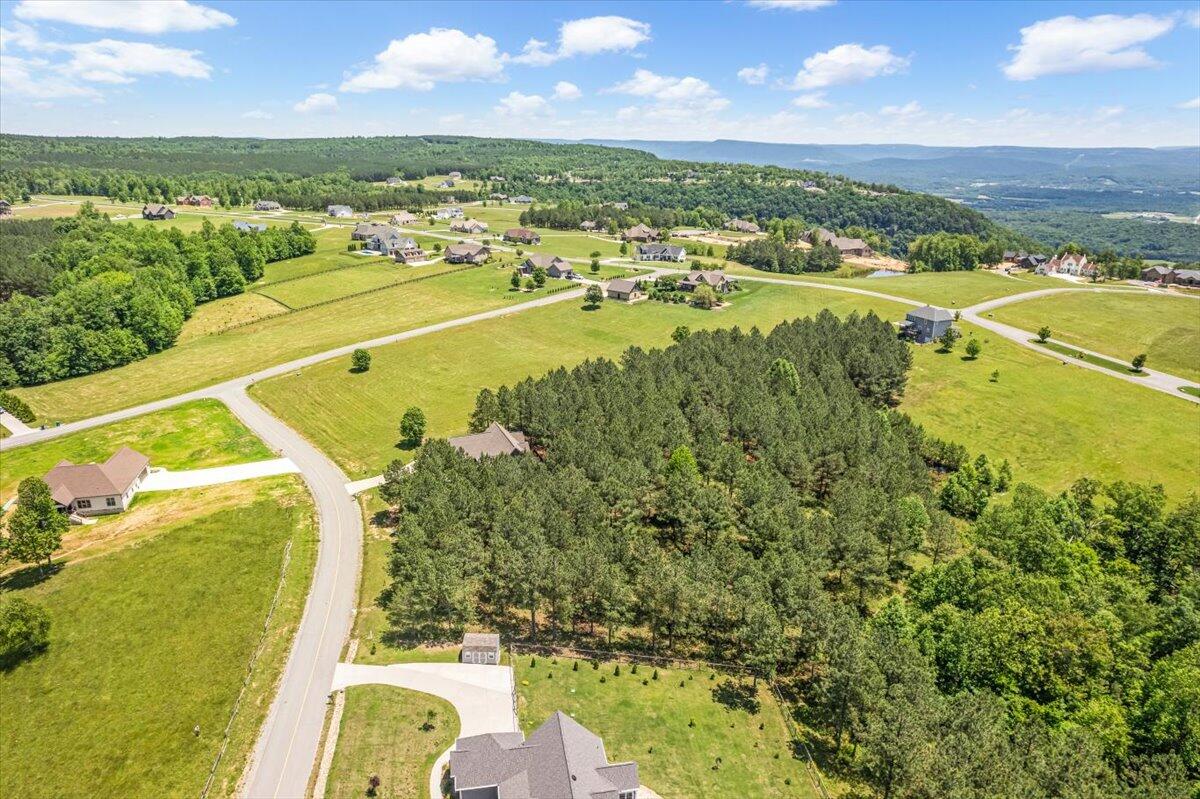 0 Bobcat Trail Jasper, TN 37347 - Photo 5 of 12 04-DJI_0896