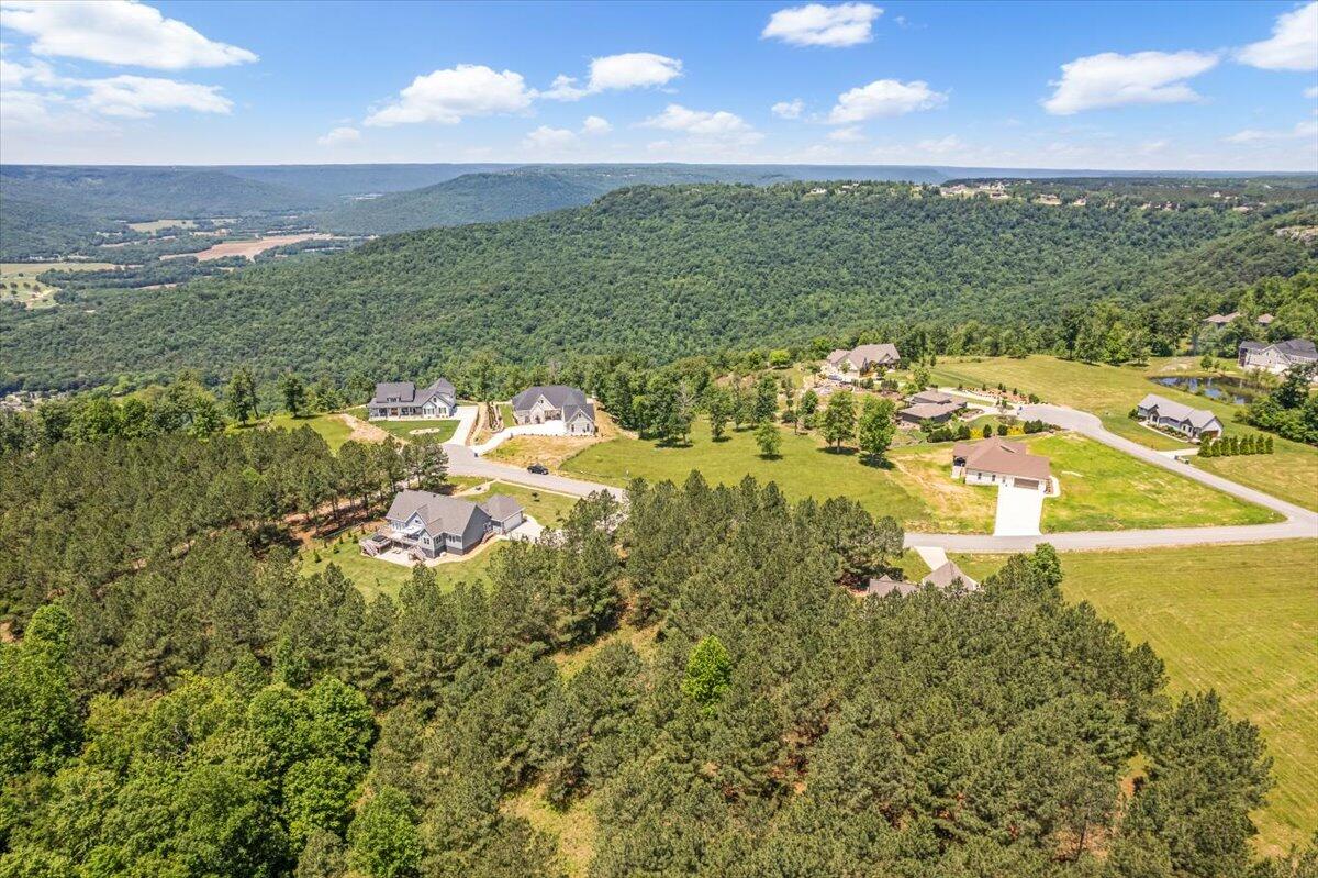 0 Bobcat Trail Jasper, TN 37347 - Photo 6 of 12 05-DJI_0884