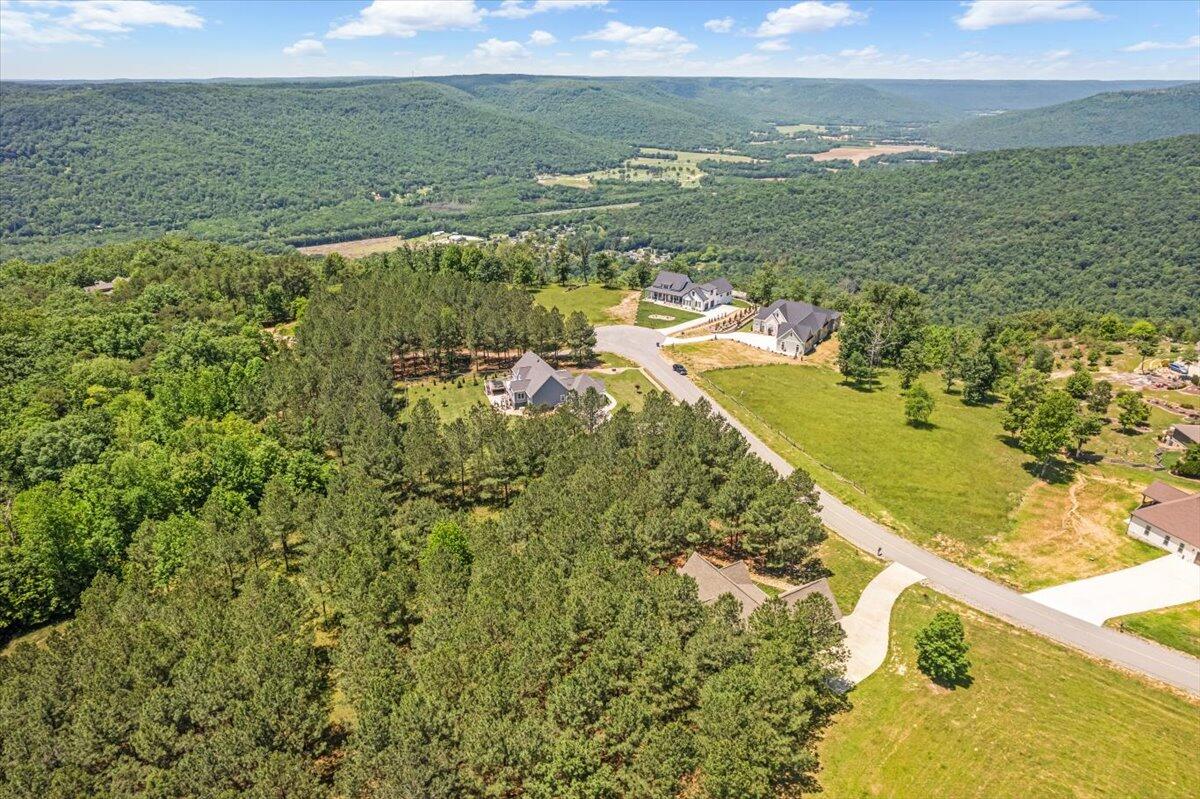 0 Bobcat Trail Jasper, TN 37347 - Photo 10 of 12 09-DJI_0881