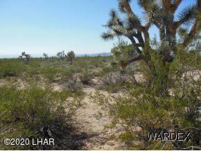 156 Hansen Road Yucca, AZ 86438 - Photo 2 of 7 Hansen 3
