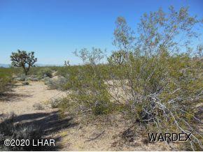 156 Hansen Road Yucca, AZ 86438 - Photo 3 of 7 Hansen 4