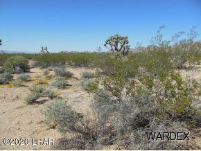 156 Hansen Road Yucca, AZ 86438 - Photo 4 of 7 Hansen 5