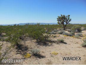 156 Hansen Road Yucca, AZ 86438 - Photo 5 of 7 Hansen 6