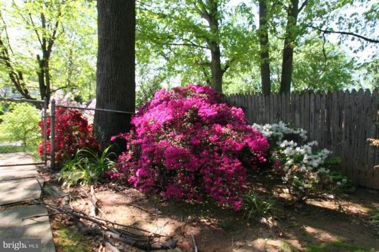 More Springful colors