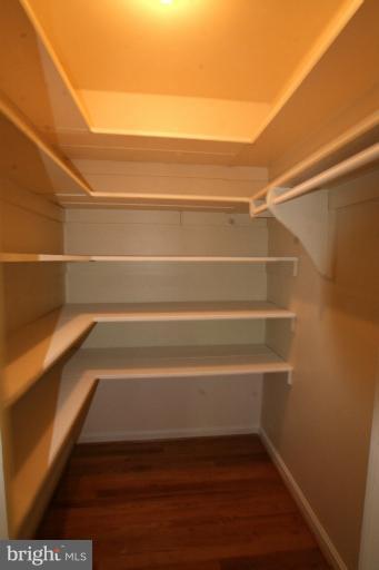 1502 Timberline Road Silver Spring, MD 20904 - Photo 14 of 29 Space-stretching walk-in storage closet upper lvl