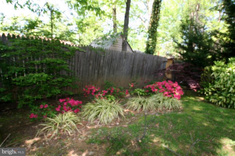 1502 Timberline Road Silver Spring, MD 20904 - Photo 19 of 29 Color abounds