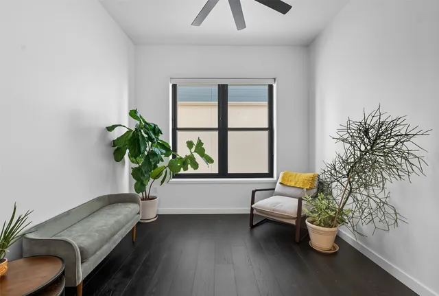a living room with furniture and a potted plant