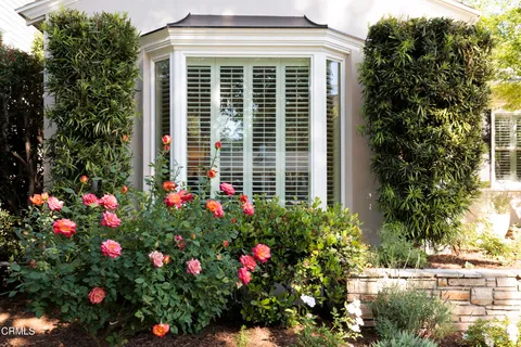 a flower plants in front of a house