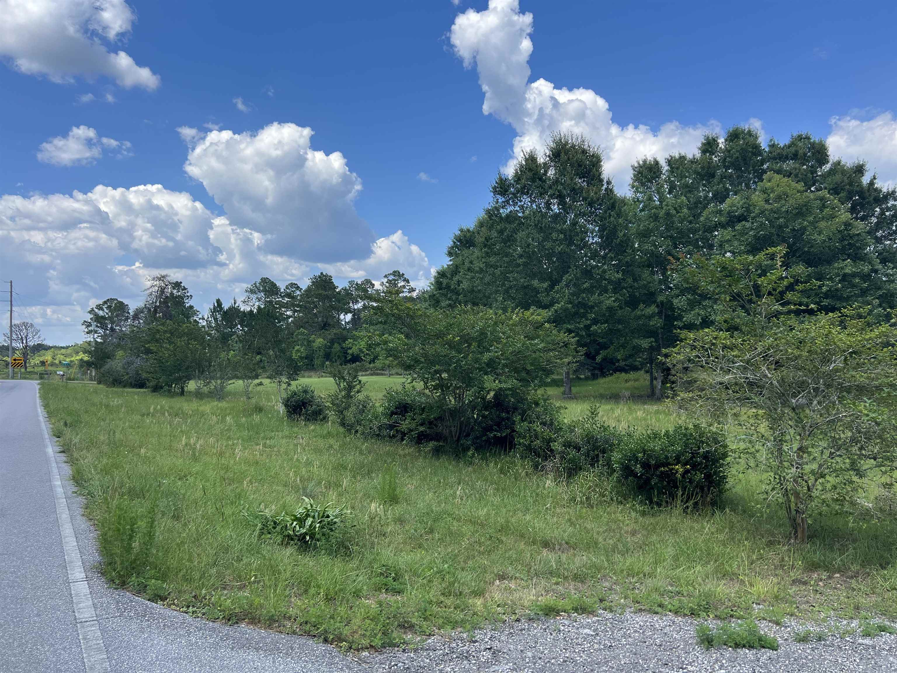 21950 Glass And Spivey Road Robertsdale, AL 36567 - Photo 2 of 6