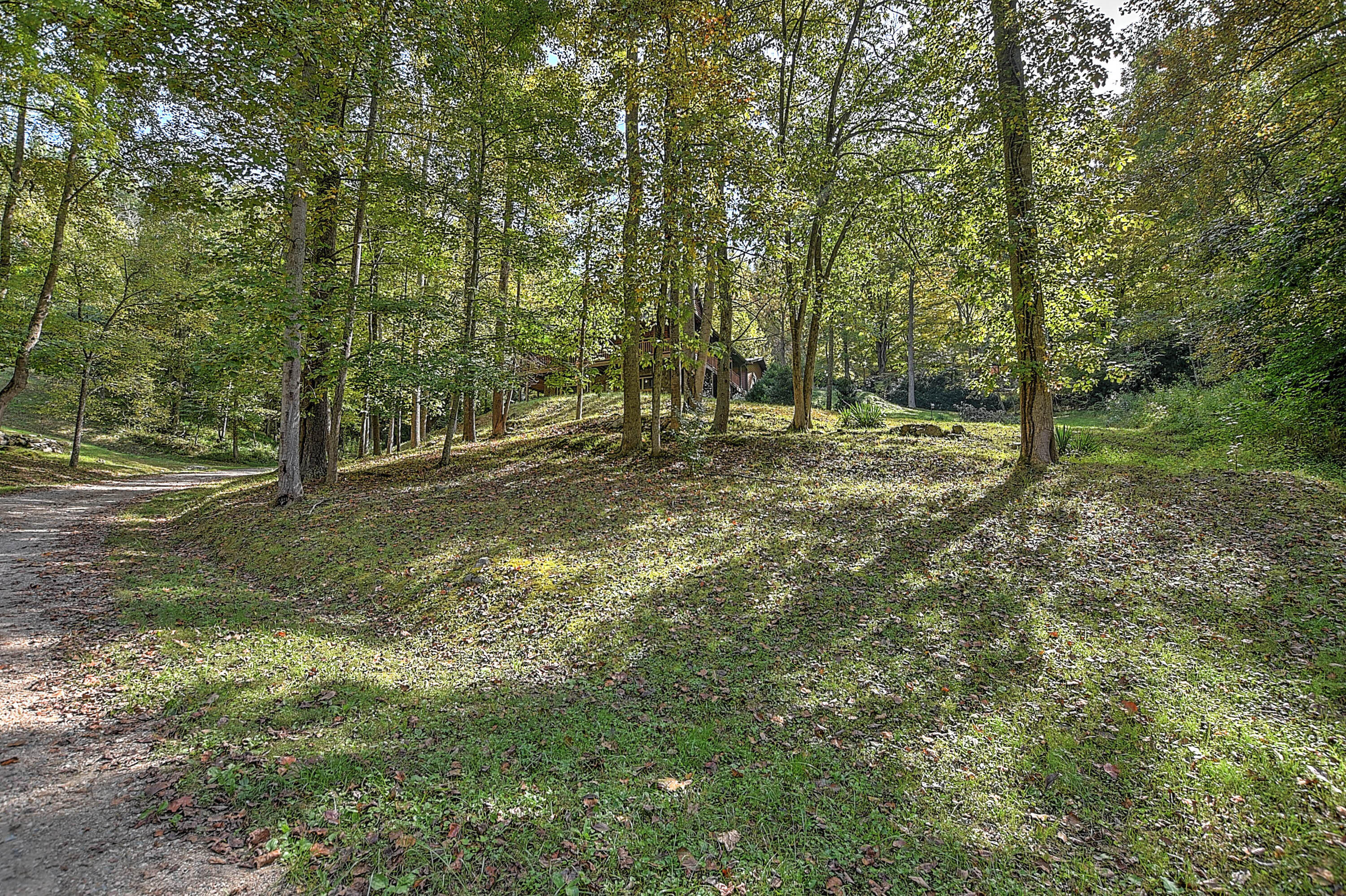 202 Raccoon Circle Butler, TN 37640 - Photo 2 of 58 202 Raccoon-2