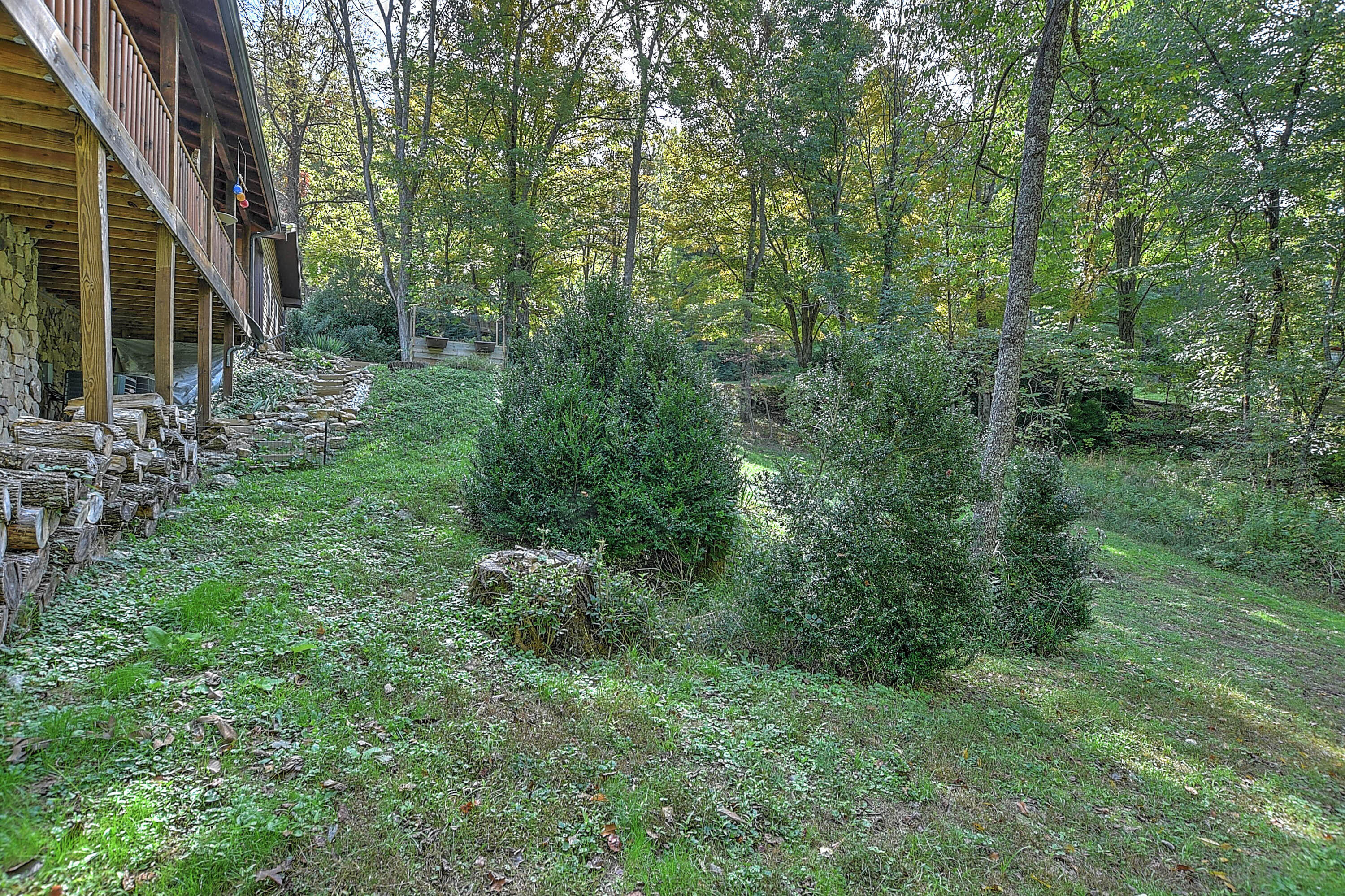 202 Raccoon Circle Butler, TN 37640 - Photo 47 of 58 202 Raccoon-48
