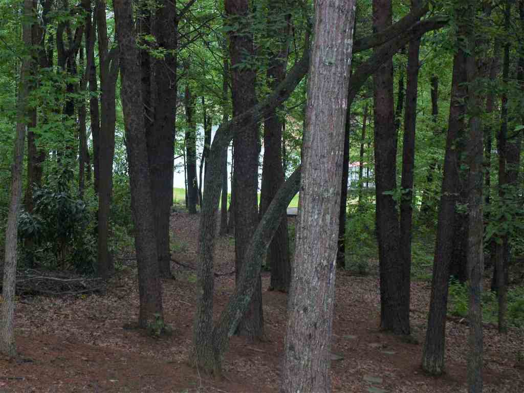 1851 Providence Church Road Anderson, SC 29626 - Photo 23 of 25 Gallery Image 23