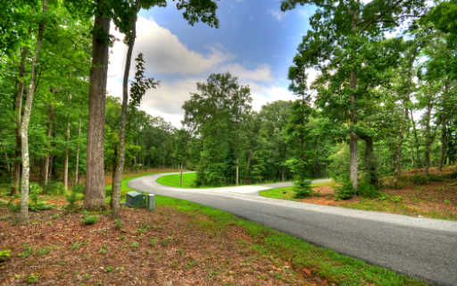 45 Ivy Ridge Mineral Bluff, GA 30559 - Photo 1 of 1 Main View