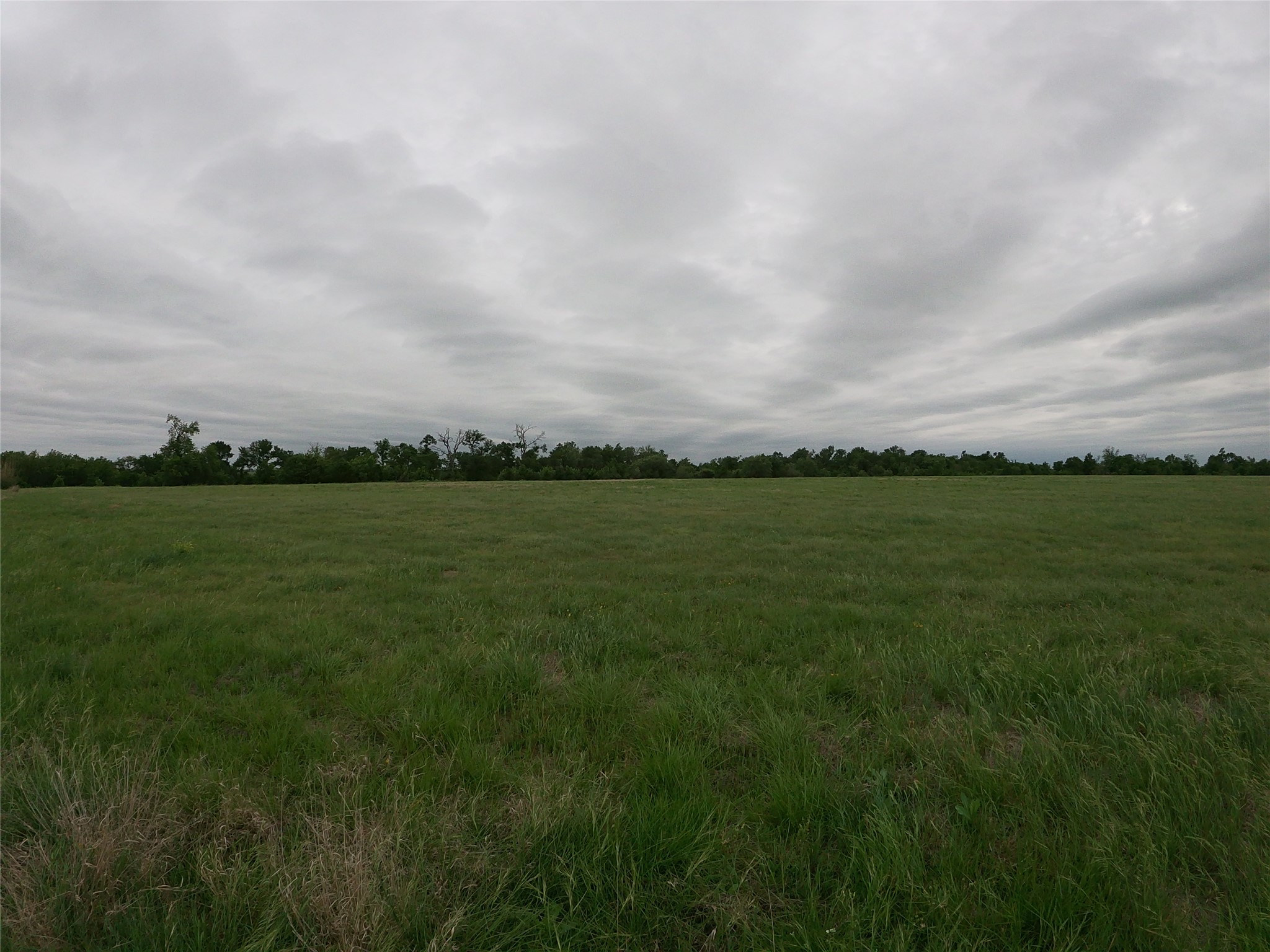 0 Fm 112 Road Thrall, TX 76578 - Photo 24 of 38