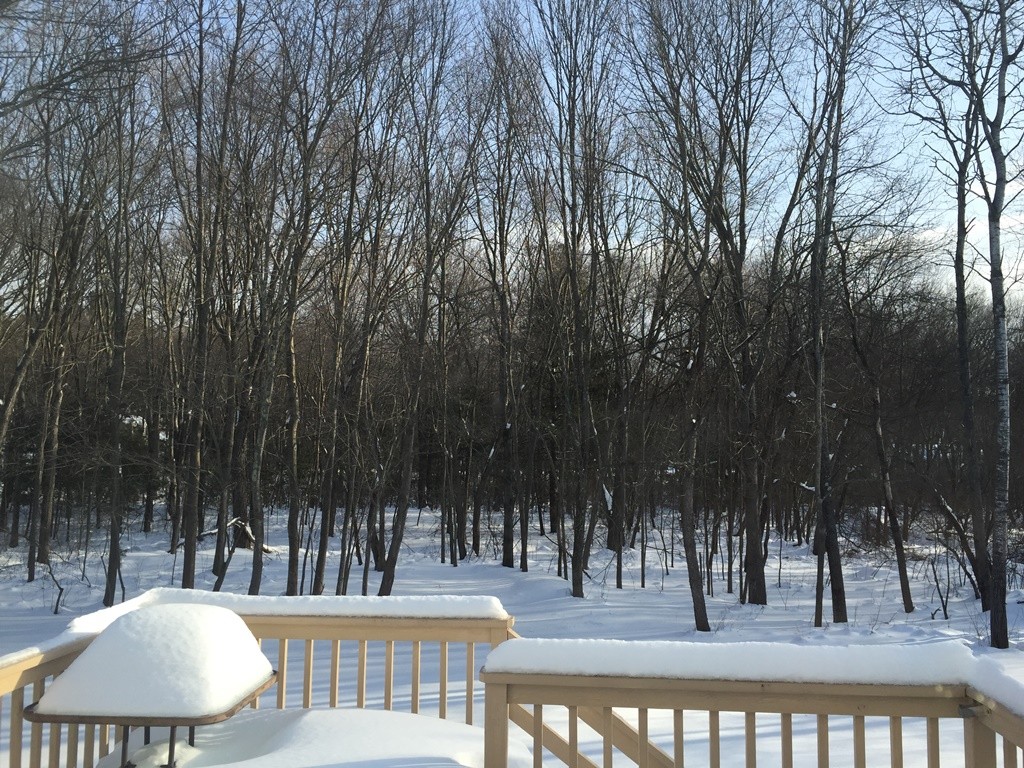 11 Hunters Lane Ashland, MA 01721 - Photo 25 of 25 Gallery Image 25