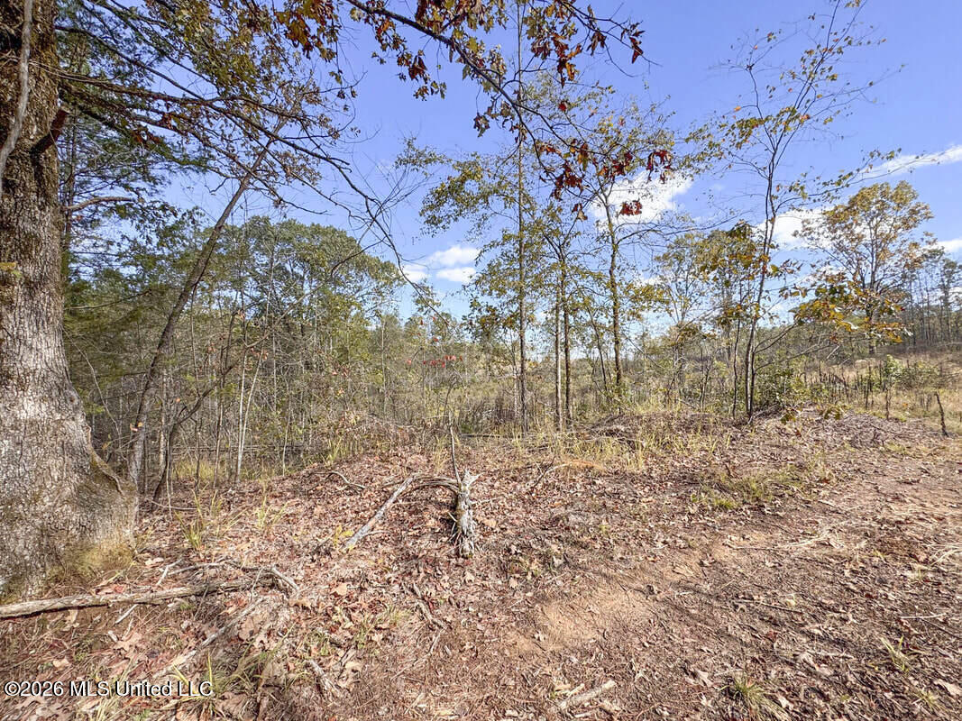 154 County Road Tillatoba, MS 38961 - Photo 50 of 58 4kgrdnyba18-orig_orig