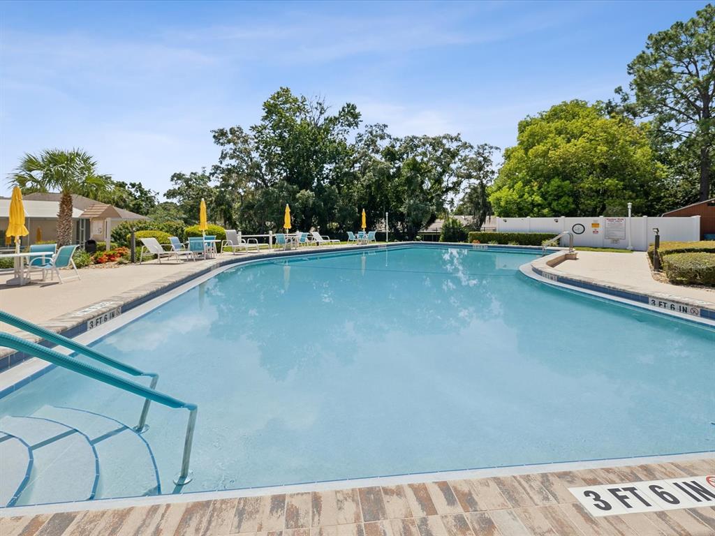 7415 Heather Walk Drive Weeki Wachee, FL 34613 - Photo 34 of 35 a view of a swimming pool and lounge chair
