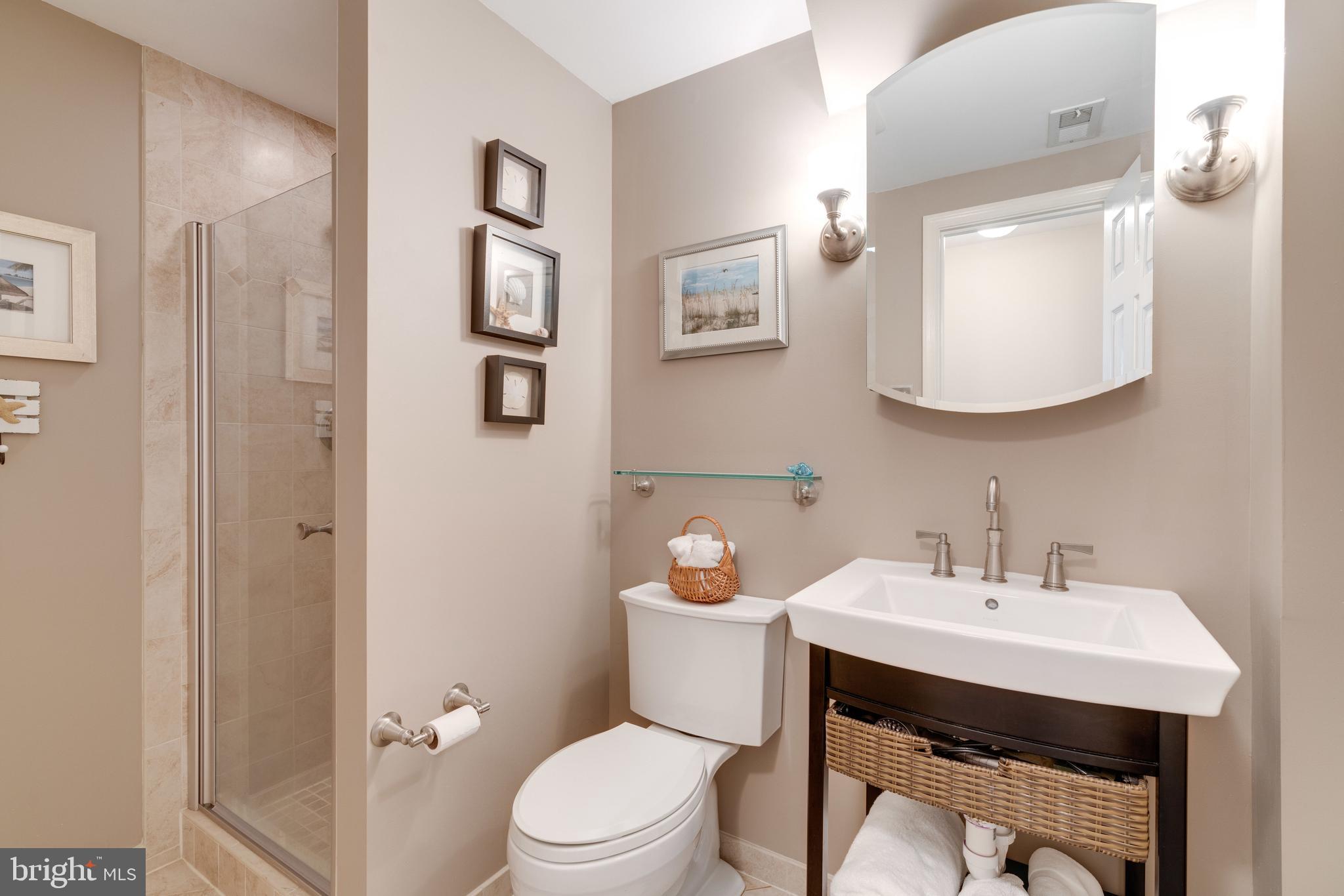 8315 Cushing Court Springfield, VA 22153 - Photo 4 of 59 lower level full bath
