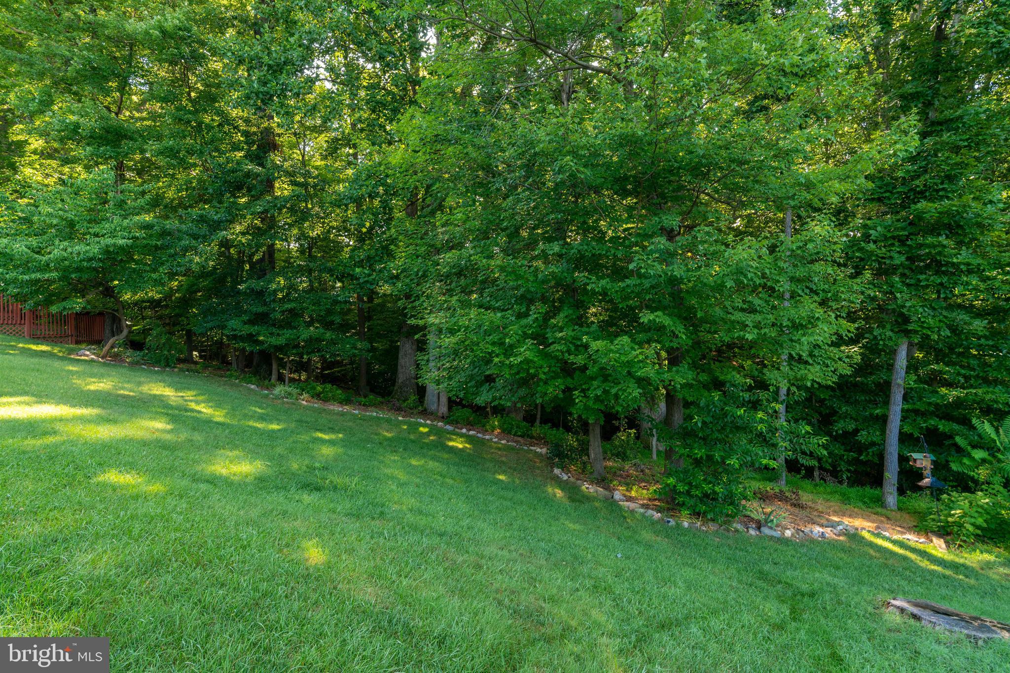8315 Cushing Court Springfield, VA 22153 - Photo 53 of 59 forested views