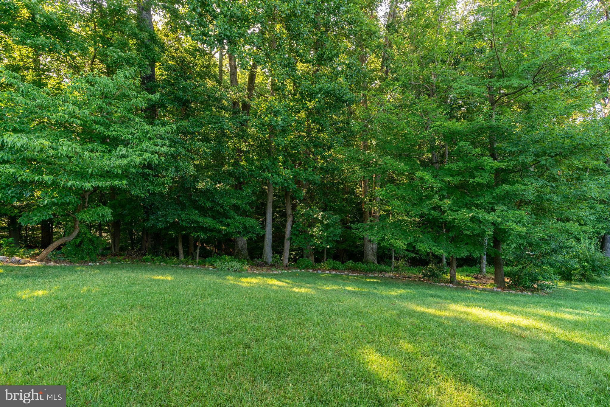 8315 Cushing Court Springfield, VA 22153 - Photo 58 of 59 forested views