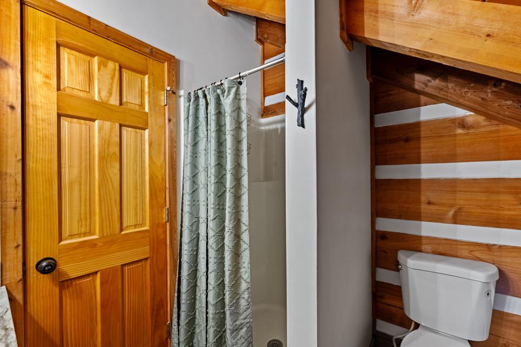 212 Dogpatch Lane Blue Ridge, GA 30513 - Photo 29 of 70