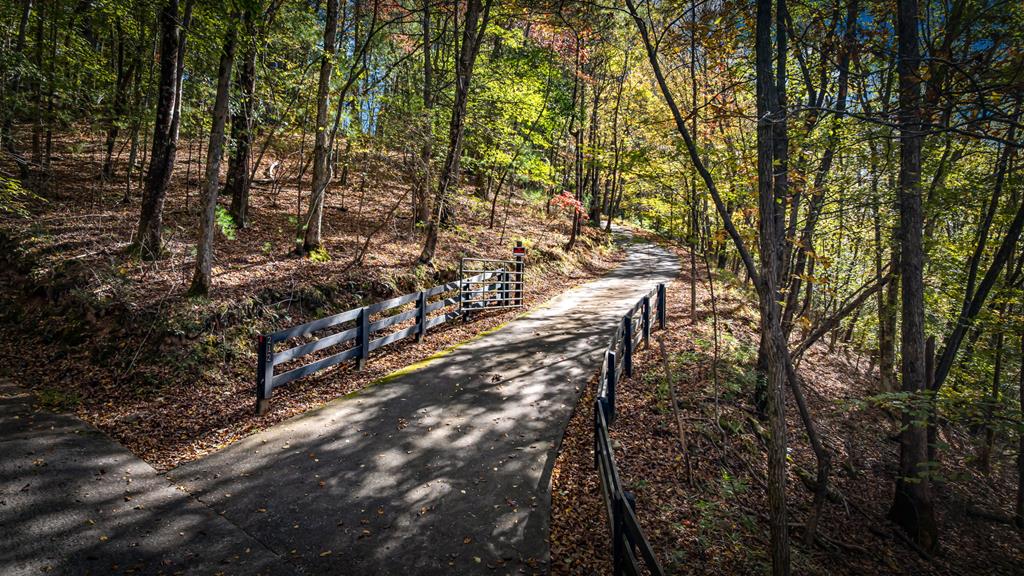 212 Dogpatch Lane Blue Ridge, GA 30513 - Photo 36 of 70 a view of a yard with plants and trees