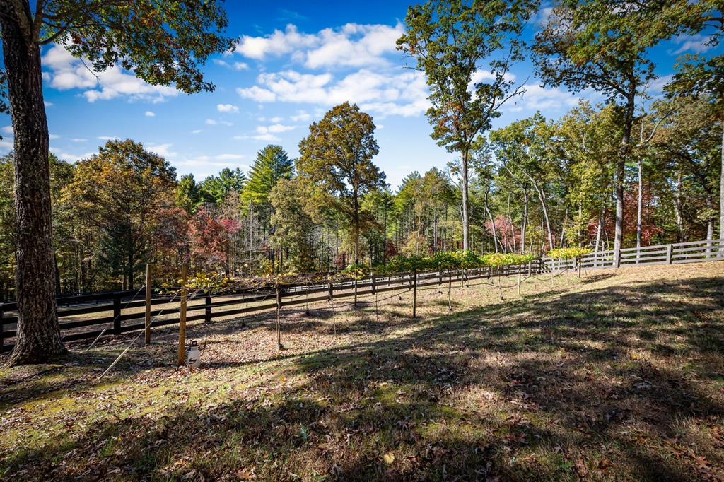 212 Dogpatch Lane Blue Ridge, GA 30513 - Photo 43 of 70