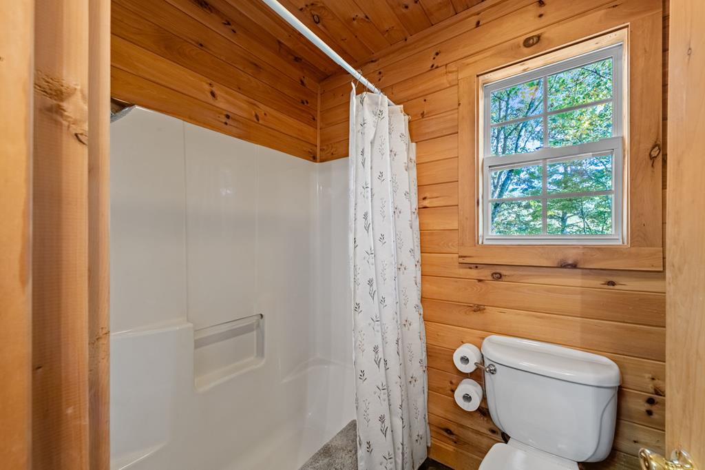 212 Dogpatch Lane Blue Ridge, GA 30513 - Photo 51 of 70 a bathroom with a toilet and a shower
