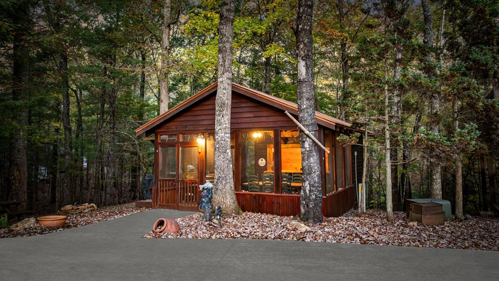 212 Dogpatch Lane Blue Ridge, GA 30513 - Photo 56 of 70