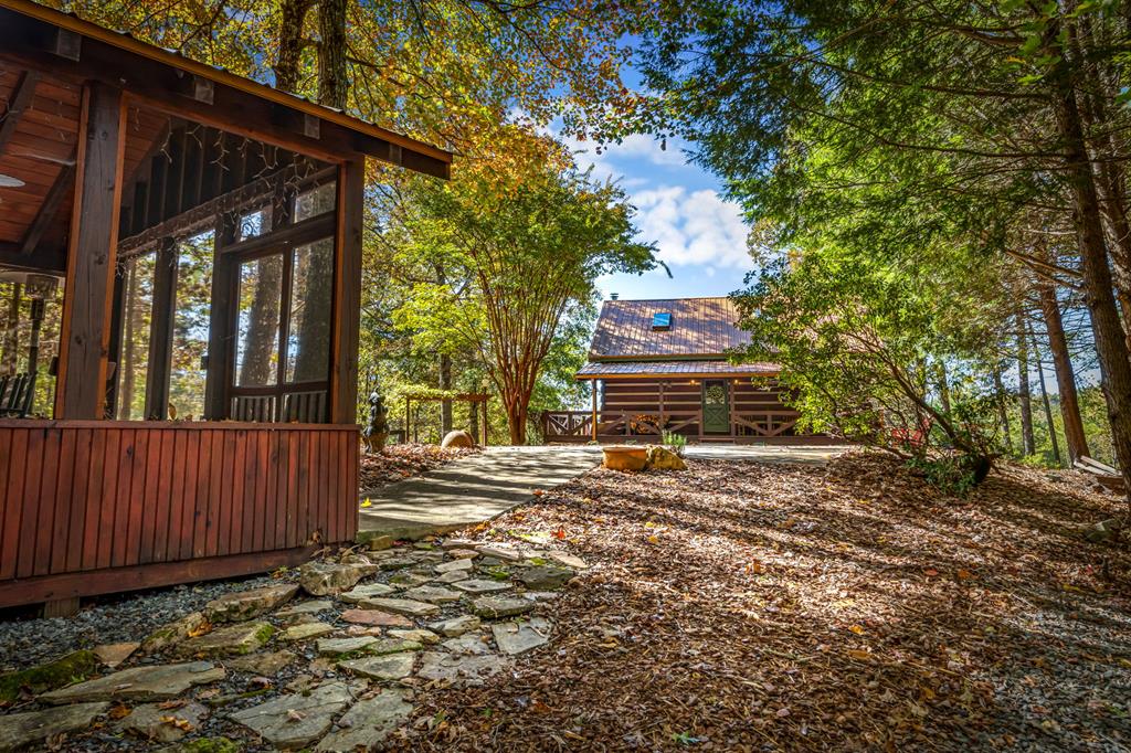 212 Dogpatch Lane Blue Ridge, GA 30513 - Photo 60 of 70 a view of a house with a tree