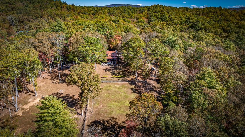 212 Dogpatch Lane Blue Ridge, GA 30513 - Photo 61 of 70 a view of a forest with a tree
