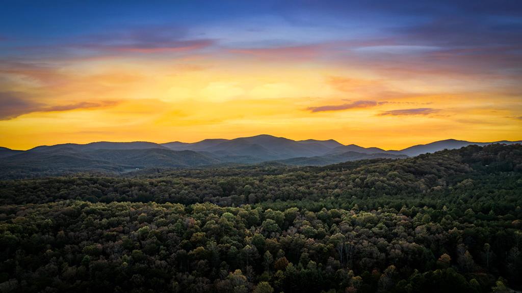 212 Dogpatch Lane Blue Ridge, GA 30513 - Photo 65 of 70