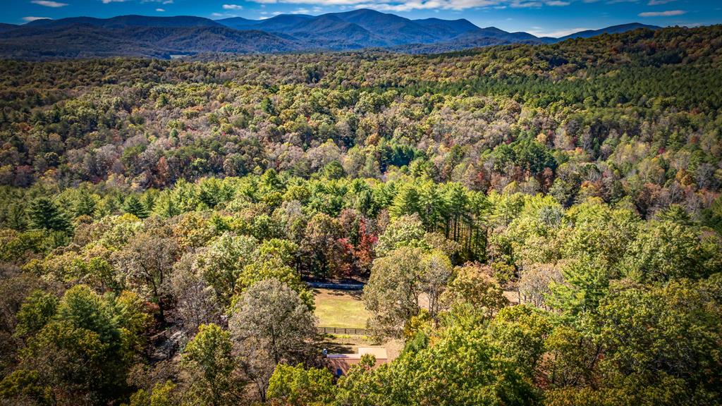 212 Dogpatch Lane Blue Ridge, GA 30513 - Photo 66 of 70