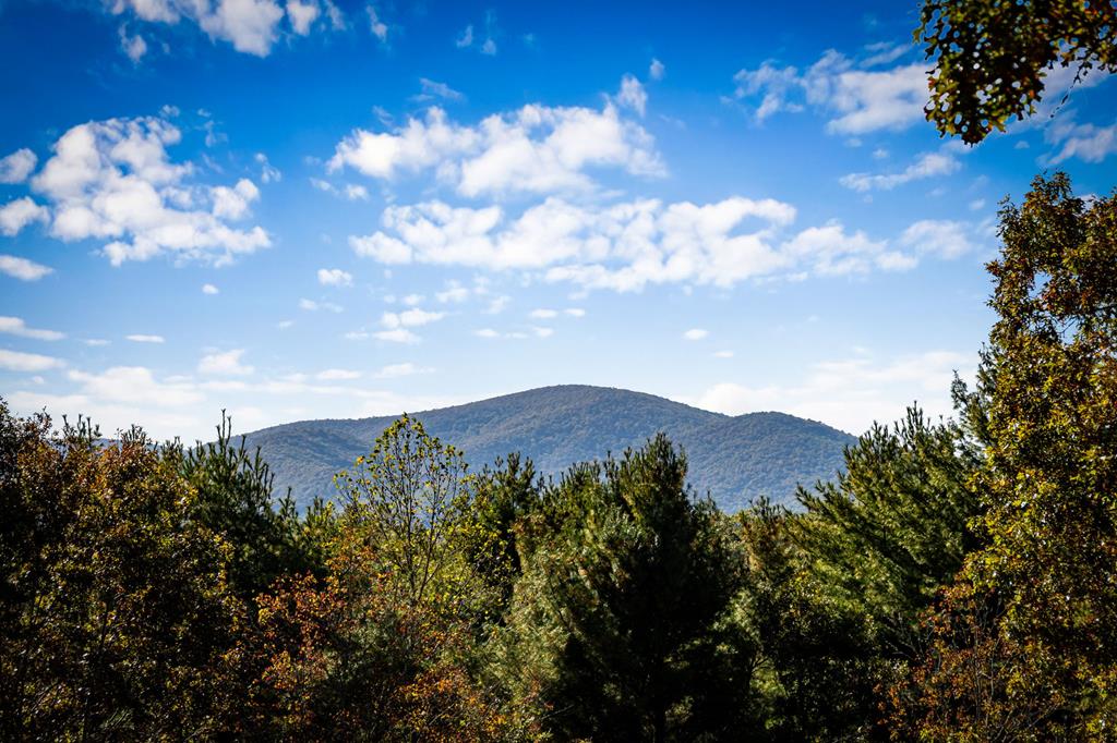 212 Dogpatch Lane Blue Ridge, GA 30513 - Photo 67 of 70