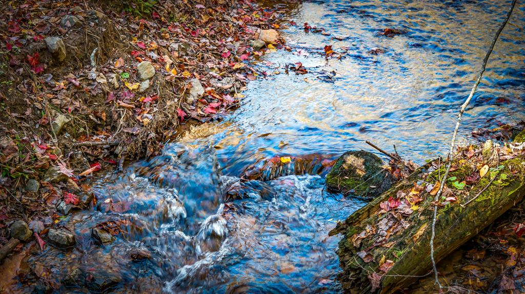 212 Dogpatch Lane Blue Ridge, GA 30513 - Photo 9 of 70