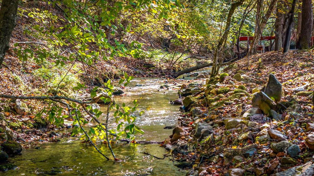 212 Dogpatch Lane Blue Ridge, GA 30513 - Photo 10 of 70 a backyard of a house with lots of green space