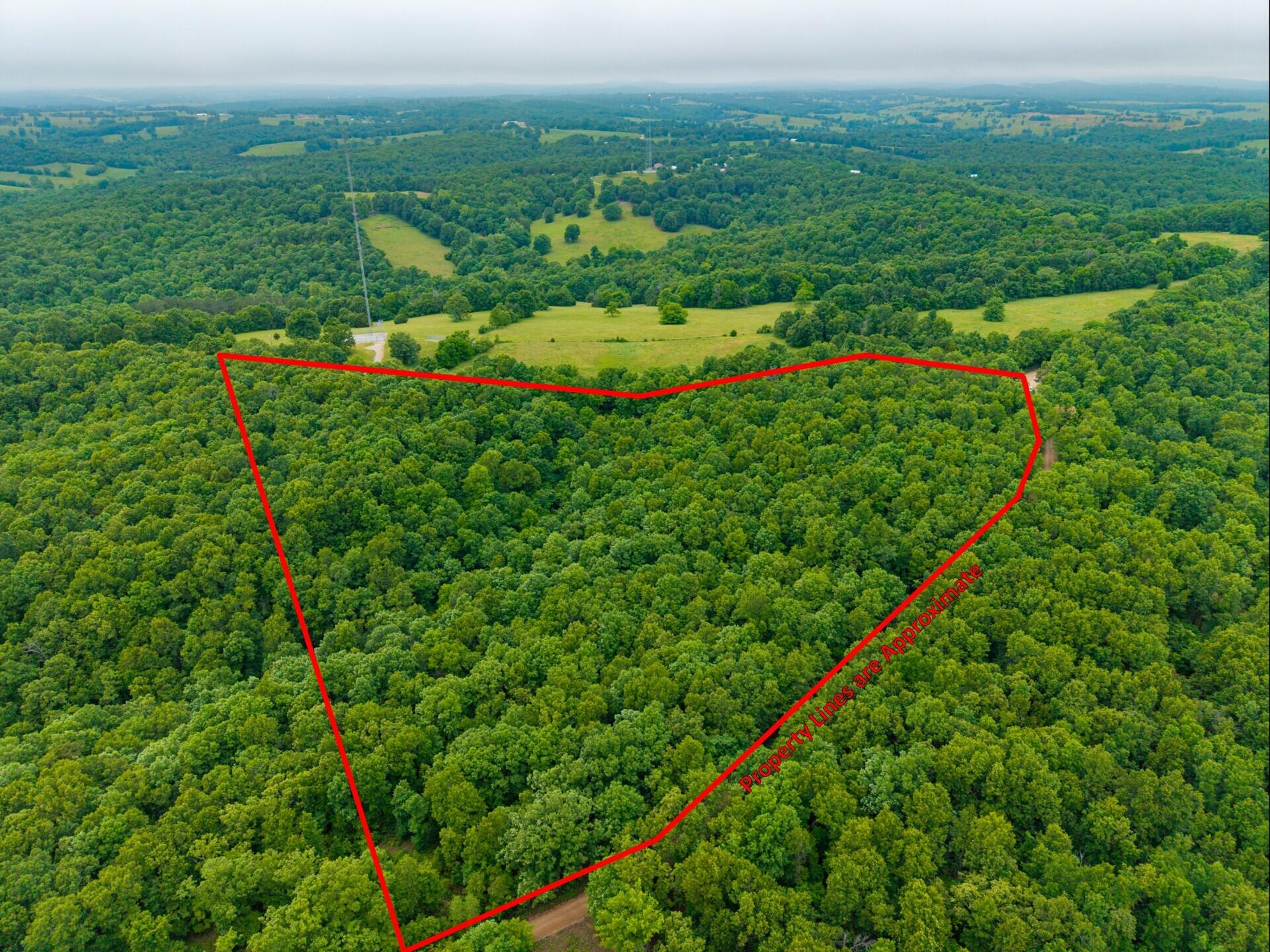 0 Co Road, Unit TRACT 3 Hardenville, MO 65666 - Photo 5 of 14 3 N 16 Hardenville-4pl