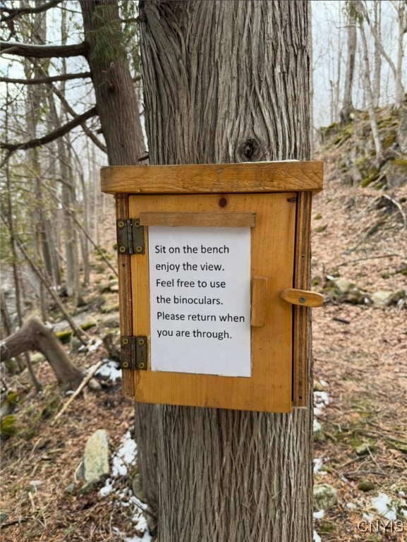 149 Blue Pike Road Rossie, NY 13642 - Photo 18 of 25 Birding area