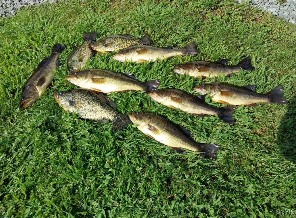 149 Blue Pike Road Rossie, NY 13642 - Photo 20 of 25 Great Fishing Awaits