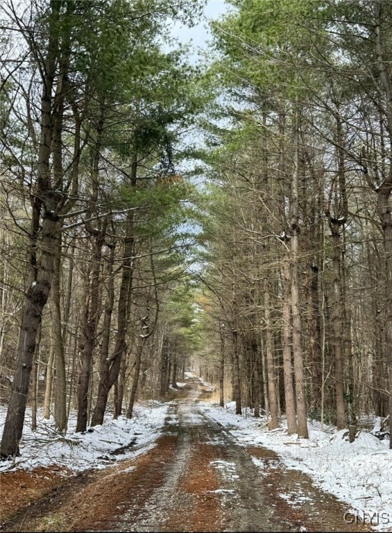 149 Blue Pike Road Rossie, NY 13642 - Photo 5 of 25 Road behind cabin along the second plt