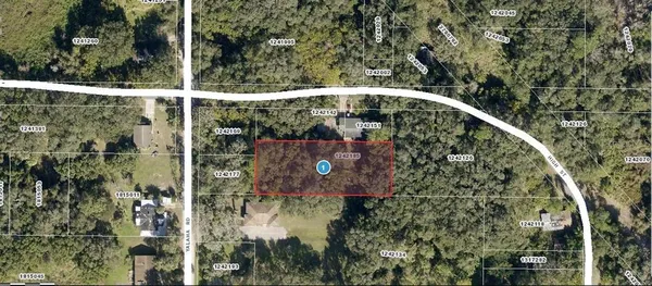 $30,000 | Yalaha Road, Yalaha, FL 34797