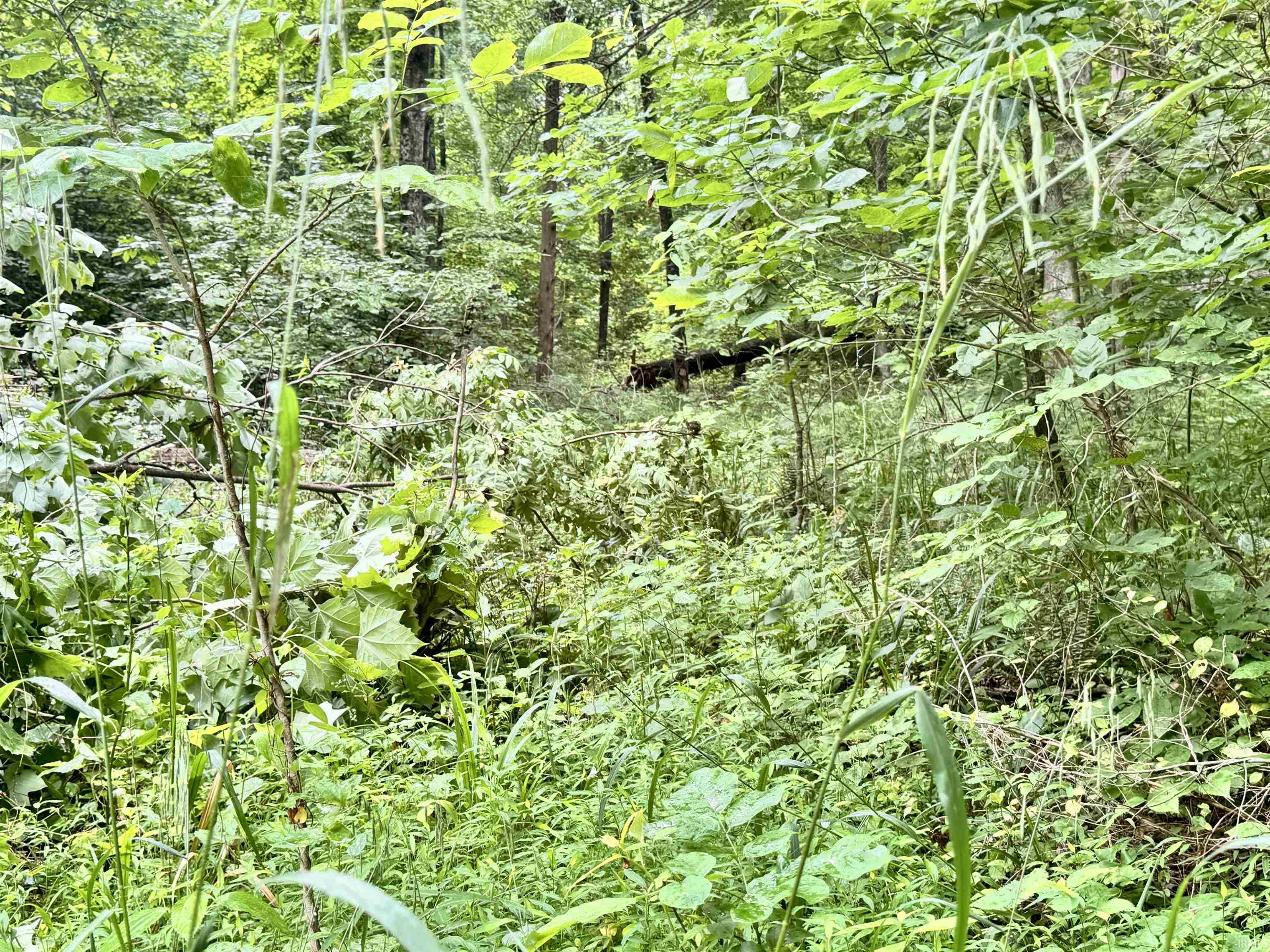 State Road Shoals, IN 47581 - Photo 22 of 25