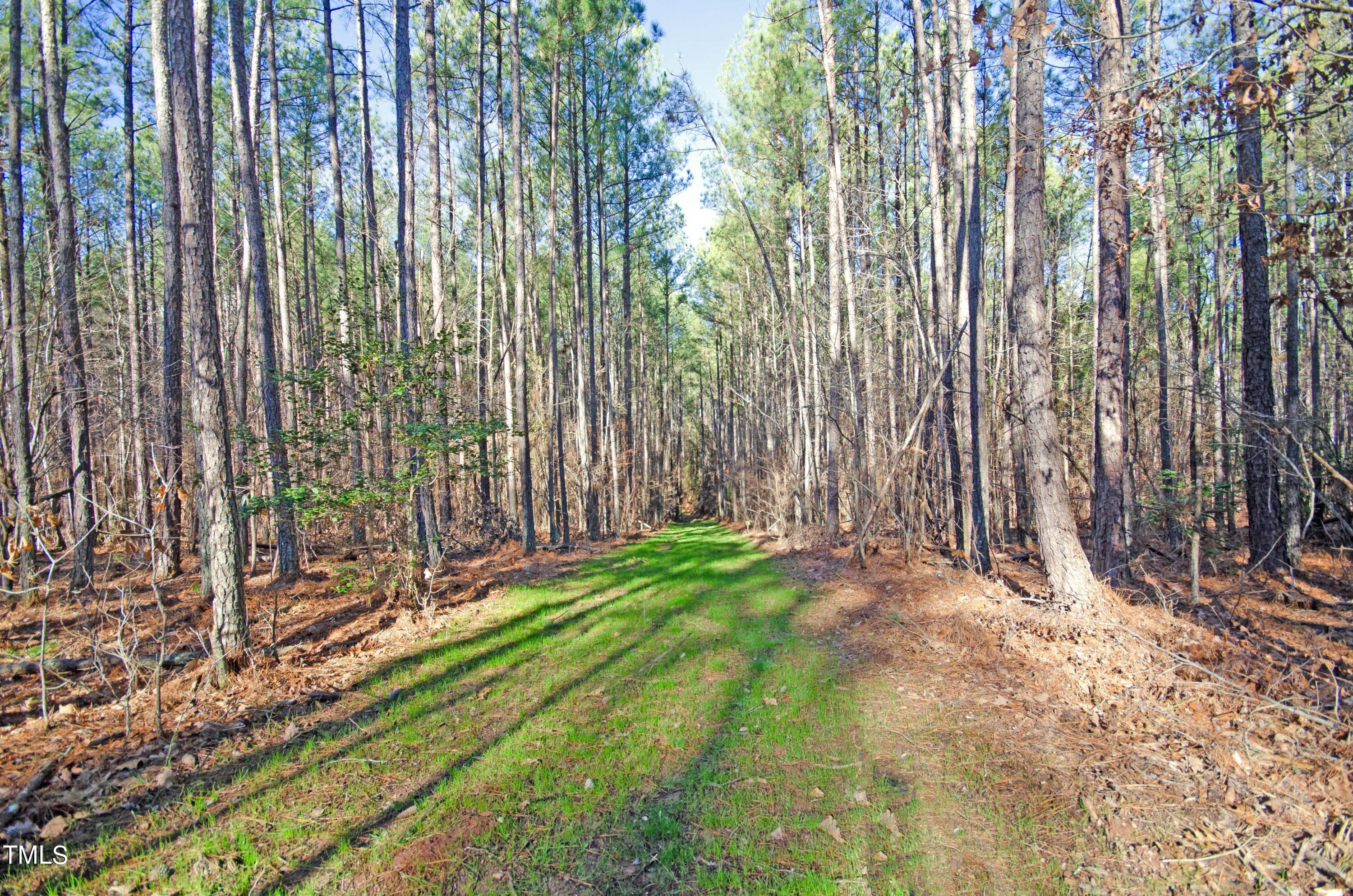 4816 Carbonton Road Sanford, NC 27330 - Photo 9 of 14 Entrance from the road.