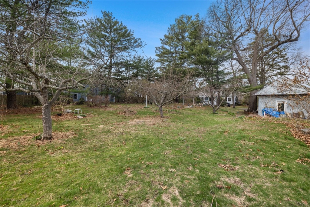 207 Pleasant Street Milton, MA 02186 - Photo 27 of 28 a backyard of a house with lots of green space